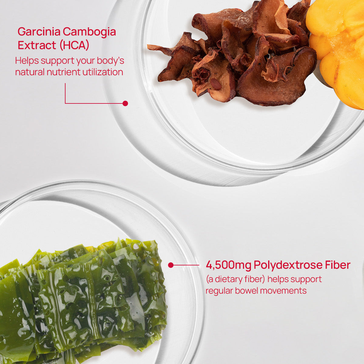 PRE ORDER] FOODOLOGY Coleology Bowel Movement Jelly 10ea – Angel