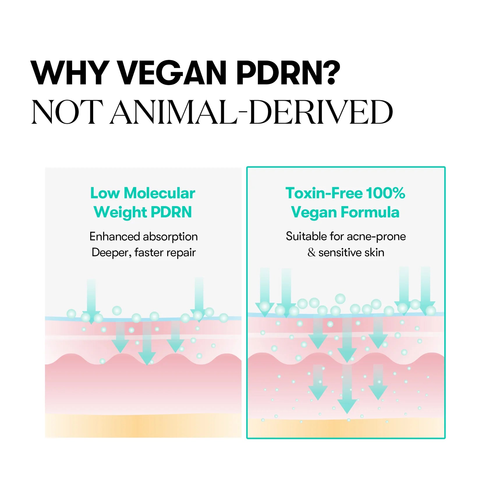 [PRE ORDER] VT COSMETICS PDRN Capsule Cream 50ml