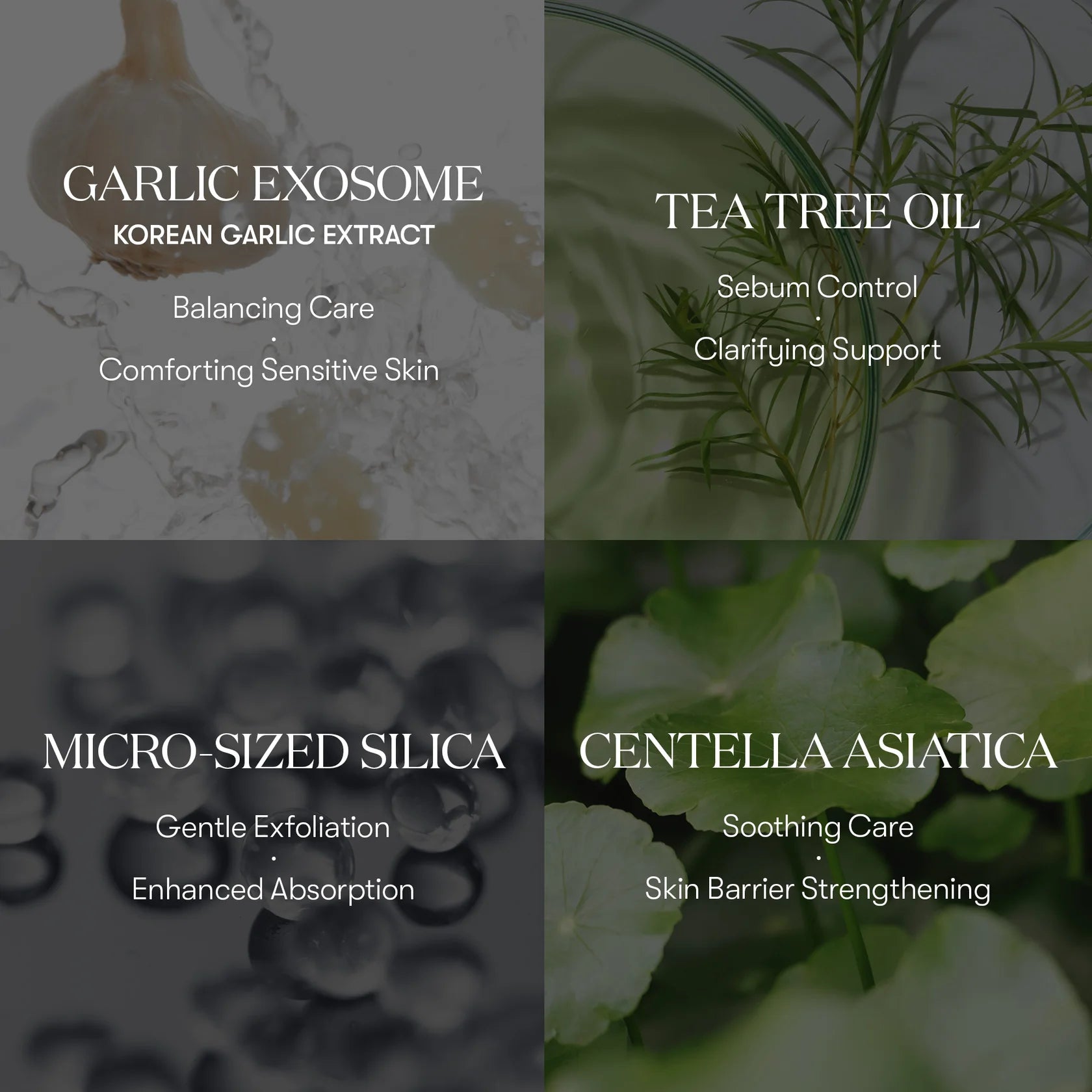 [PRE ORDER] VT COSMETICS Garlic AC Reedle Shot Point Patch