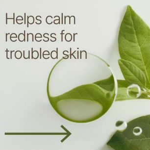 [PRE ORDER] Heveblue Derma Zinc Matcha MX 800K Ampoule 50ml