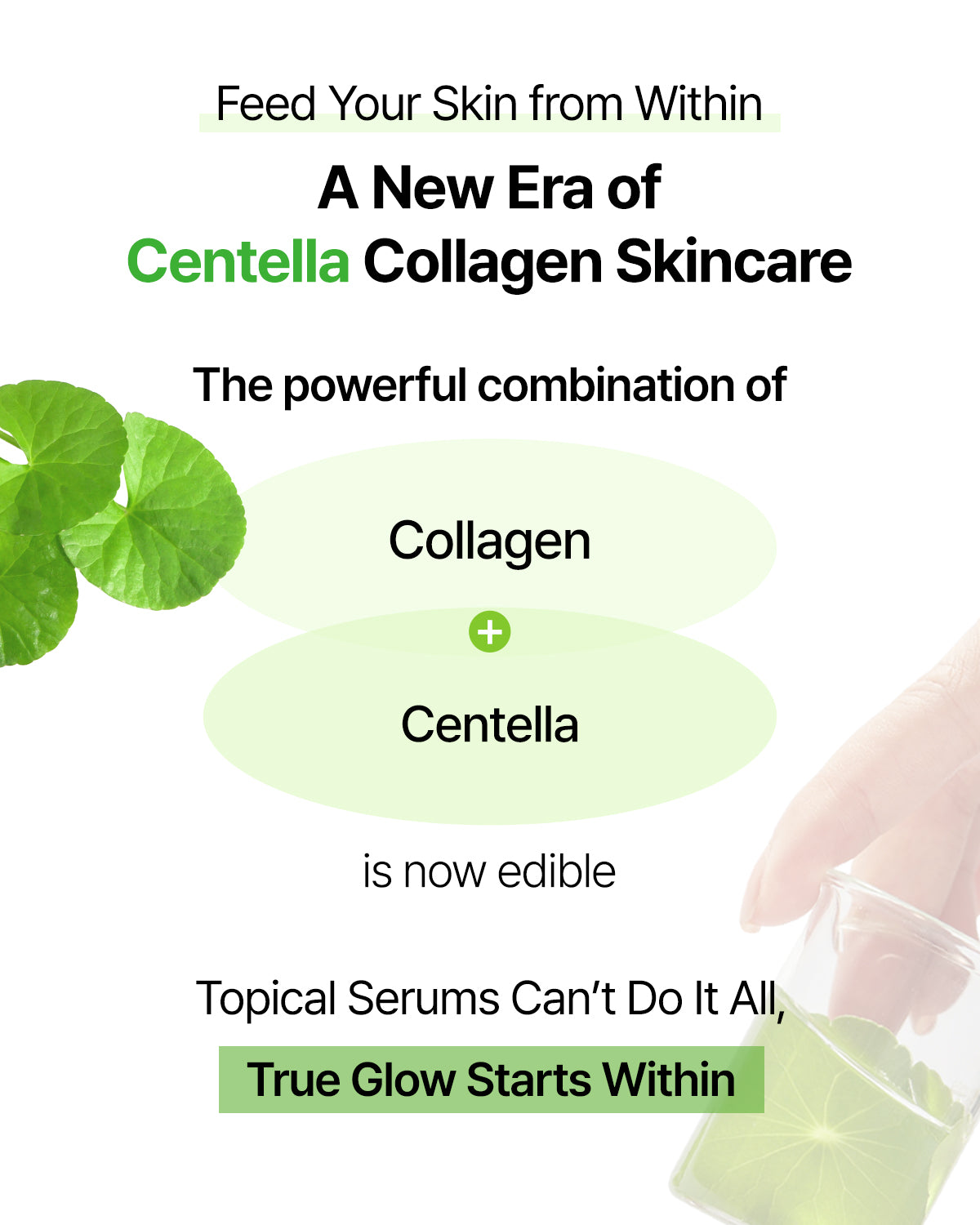[PRE ORDER] FOODOLOGY Collagen Centella Jelly 10ea