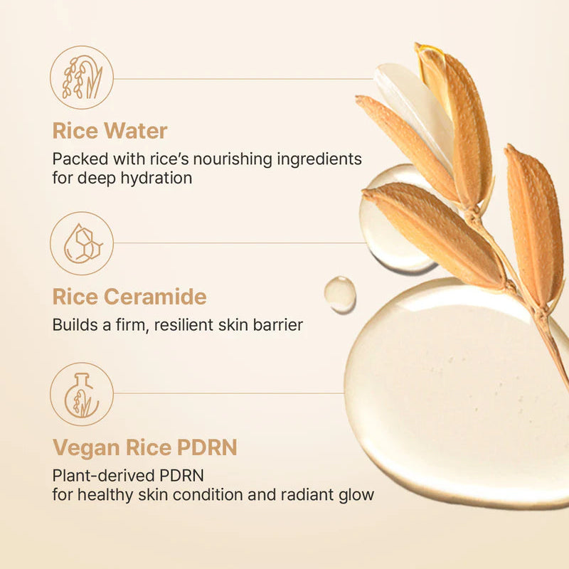 FULLY Rice Ceramide Capsule Cream 90ml
